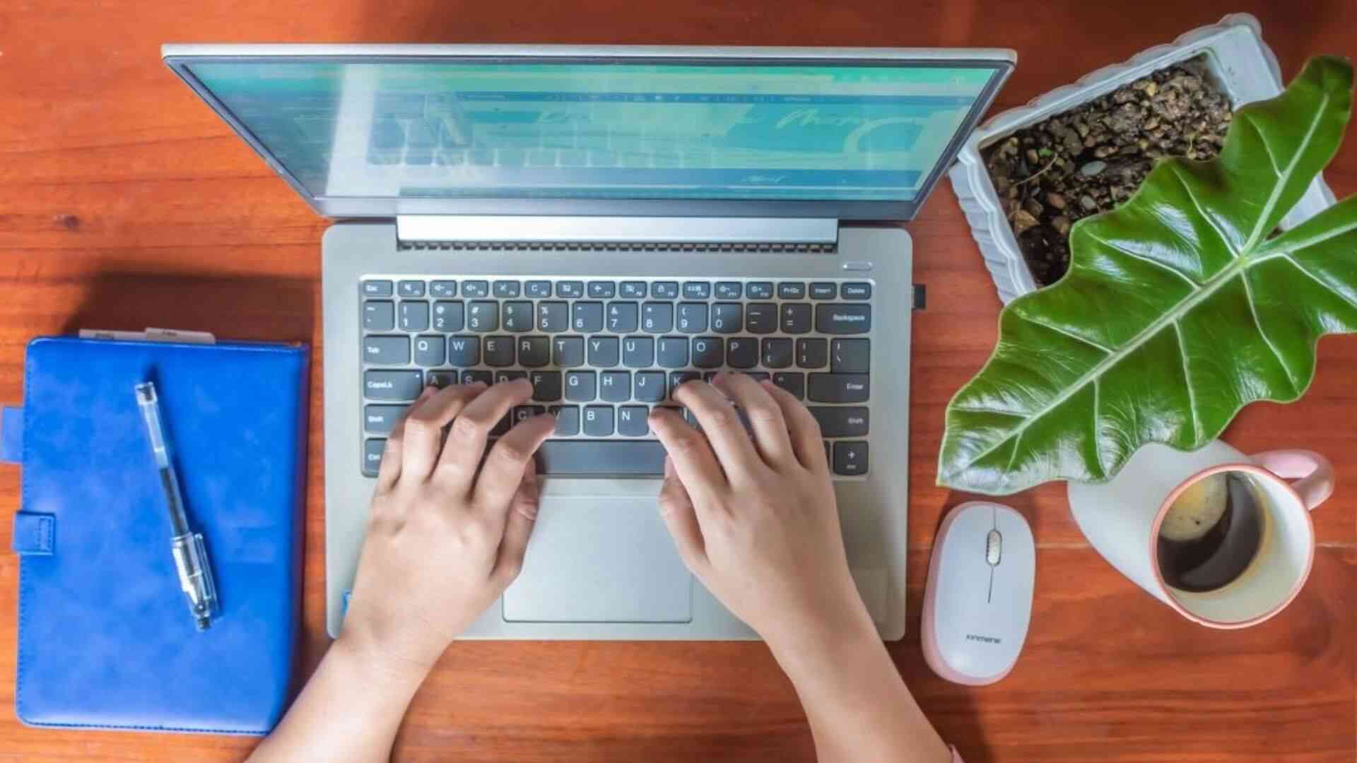 Pesowisemom working on her laptop with mouse and a plant