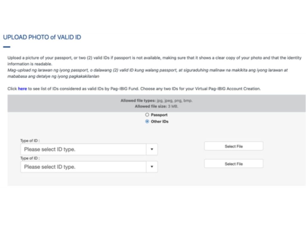 Pag-IBIG upload Valid ID section