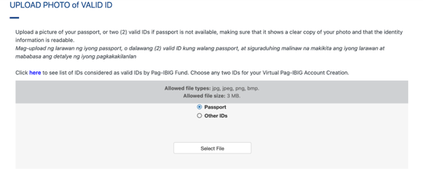 Upload Photo option in Pag-IBIG Virtual Application