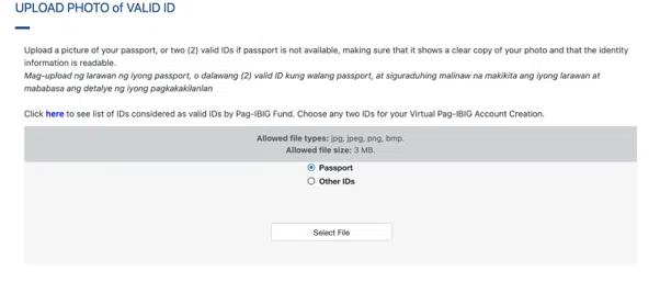 Upload Photo option in Pag-IBIG Virtual Application